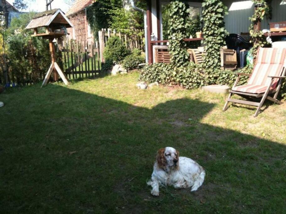 2 Bedroom Beautyful Vacation Home / Ferienhaus Brunsberg Бухолц ин дер Нордхайде Екстериор снимка